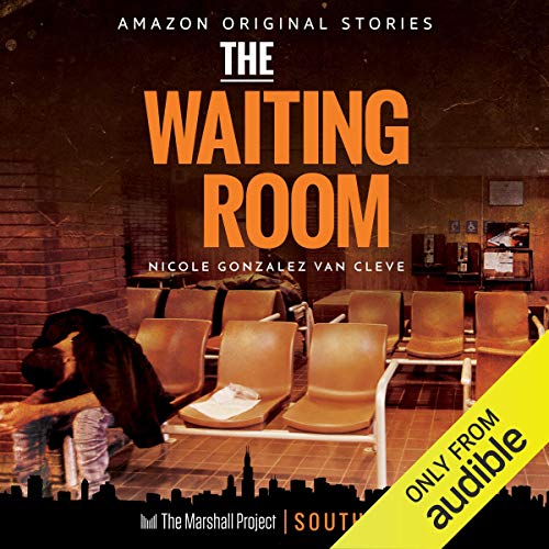 Cover of The Waiting Room