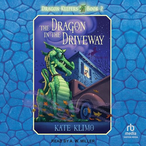 Cover of The Dragon in the Driveway