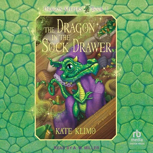 Cover of The Dragon in the Sock Drawer