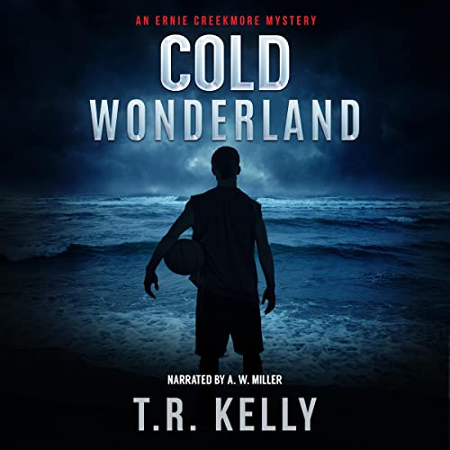 Cover of Cold Wonderland