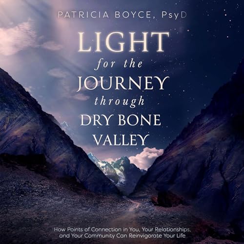 Cover of Light for the Journey Through Dry Bone Valley