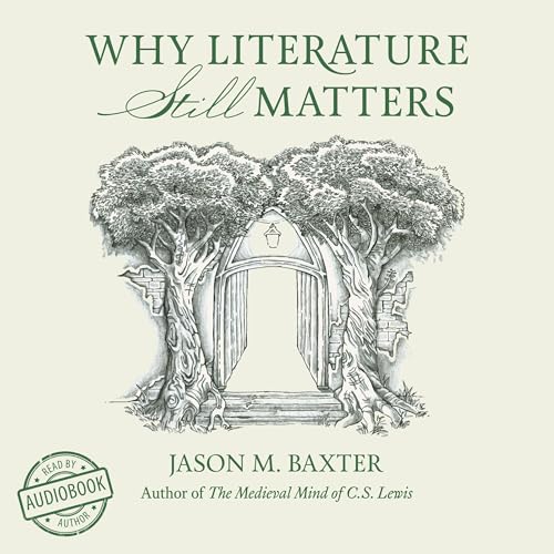 Cover of Why Literature Still Matters