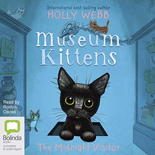 Cover of The Midnight Visitor