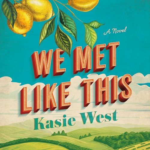 Cover of We Met Like This