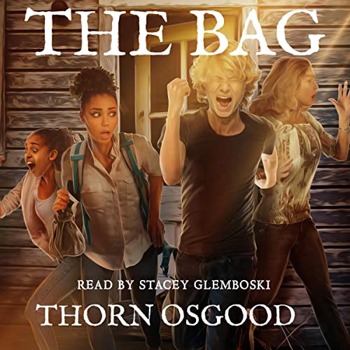 Cover of The Bag