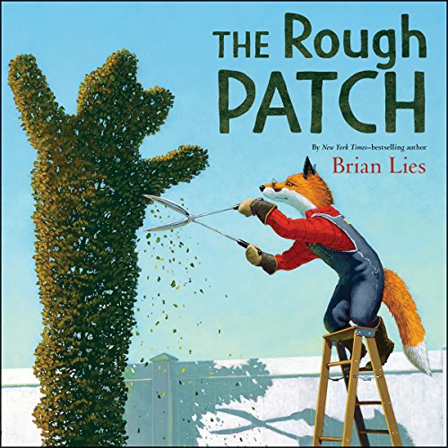 Cover of The Rough Patch