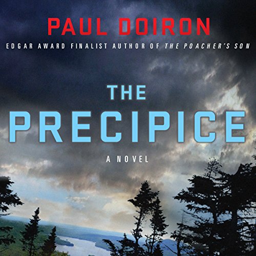 Cover of The Precipice