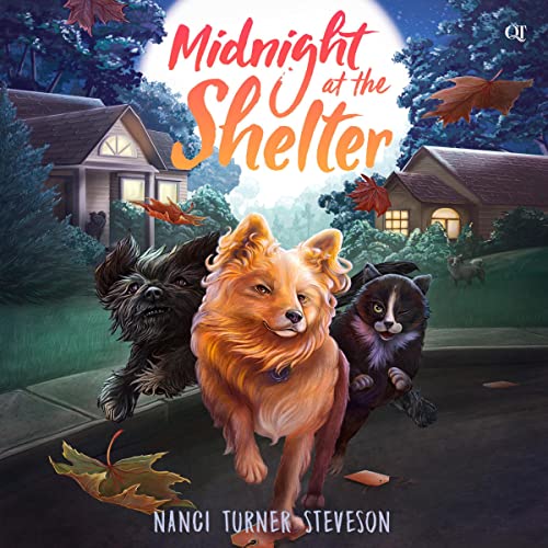 Cover of Midnight at the Shelter