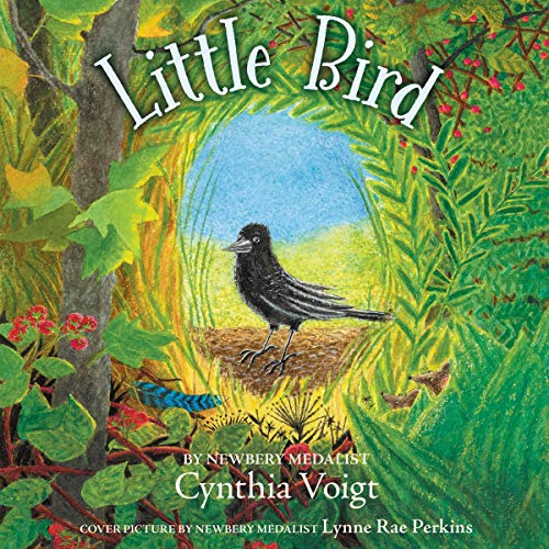 Cover of Little Bird