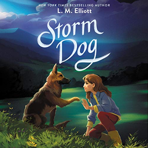 Cover of Storm Dog