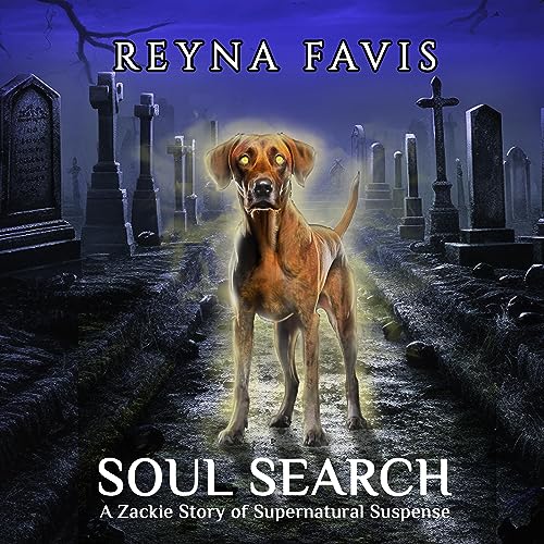 Cover of Soul Search