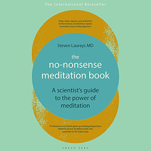 Cover of The No-Nonsense Meditation Book