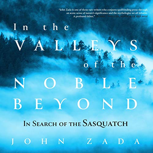 Cover of In the Valleys of the Noble Beyond