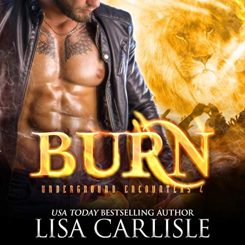 Cover of Burn