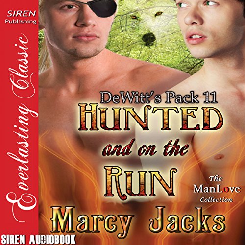 Cover of Hunted and on the Run
