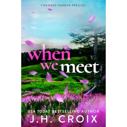 Cover of When We Meet