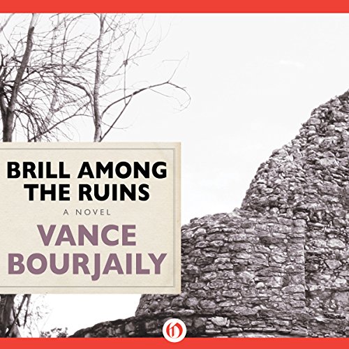 Cover of Brill Among the Ruins