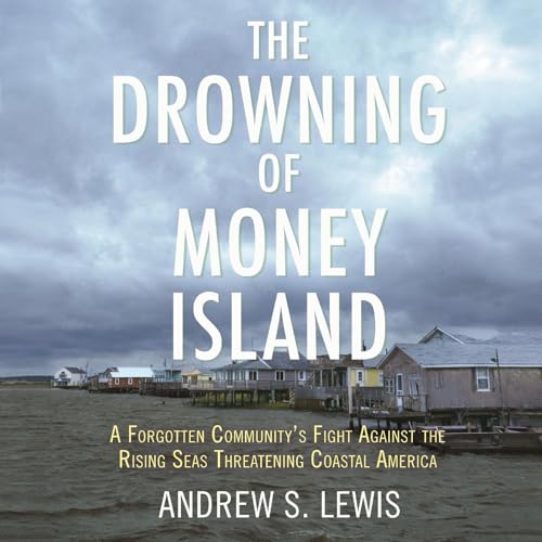 Cover of The Drowning of Money Island