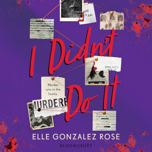 Cover of I Didn't Do It
