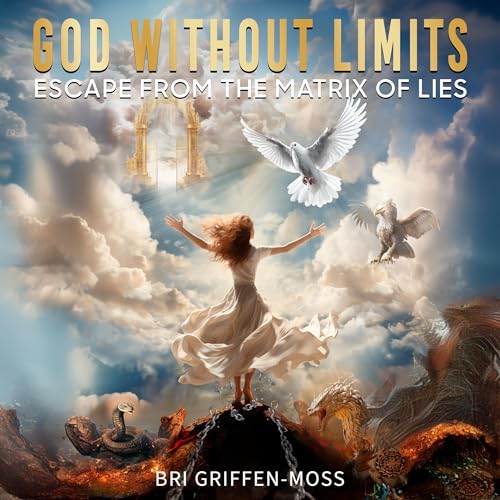 Cover of God Without Limits