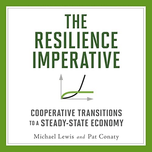 Cover of The Resilience Imperative