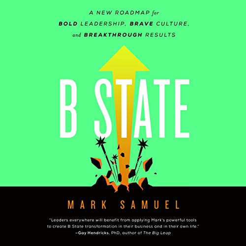 Cover of B State
