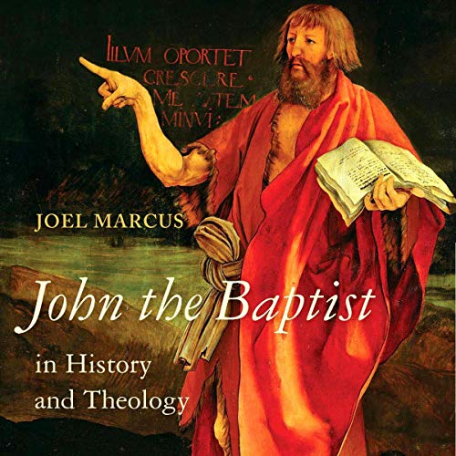 Cover of John the Baptist in History and Theology