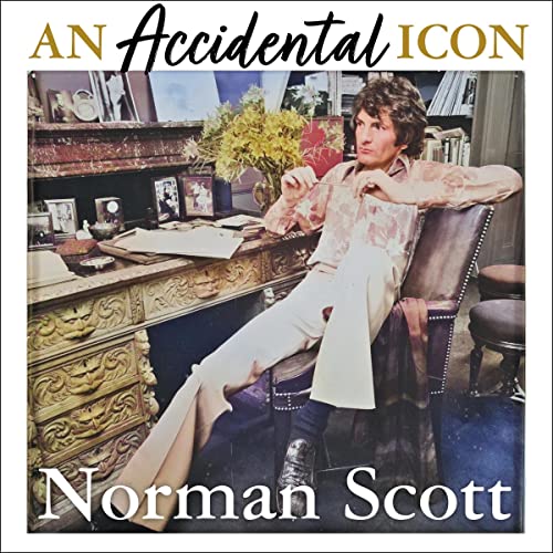 Cover of An Accidental Icon