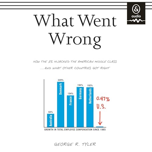 Cover of What Went Wrong