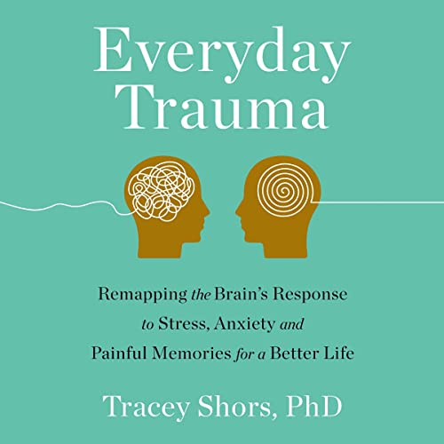 Cover of Everyday Trauma
