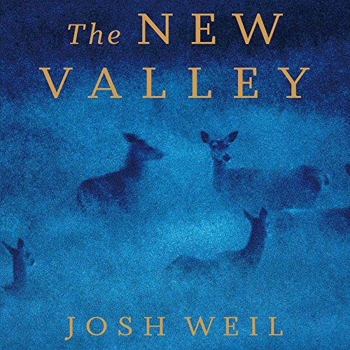Cover of The New Valley