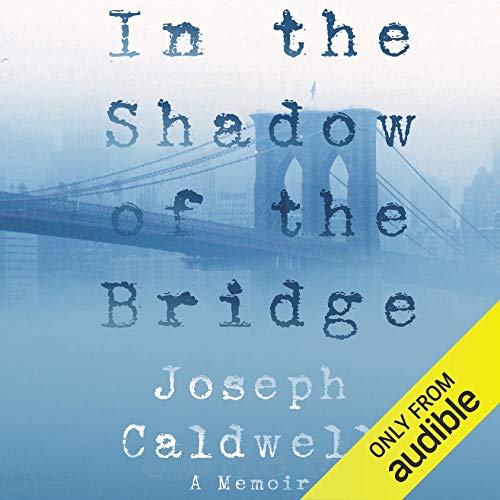 Cover of In the Shadow of the Bridge