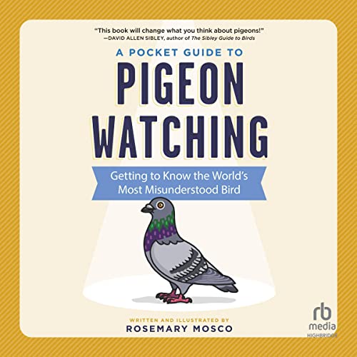 Cover of A Pocket Guide to Pigeon Watching
