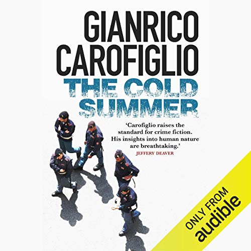 Cover of The Cold Summer