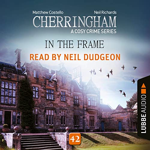 Cover of In the Frame