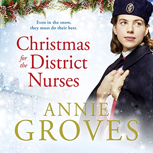 Cover of Christmas for the District Nurses