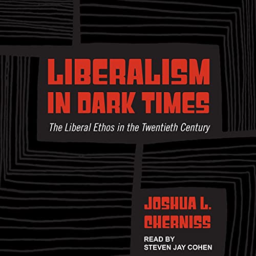 Cover of Liberalism in Dark Times