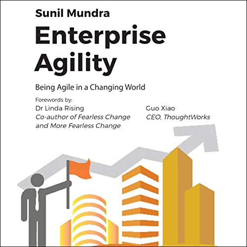 Cover of Enterprise Agility