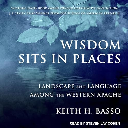 Cover of Wisdom Sits in Places
