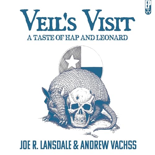 Cover of Veil's Visit