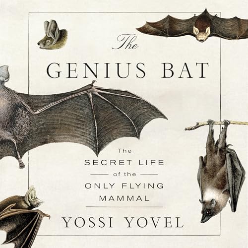 Cover of The Genius Bat