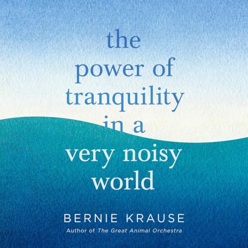 Cover of The Power of Tranquility in a Very Noisy World