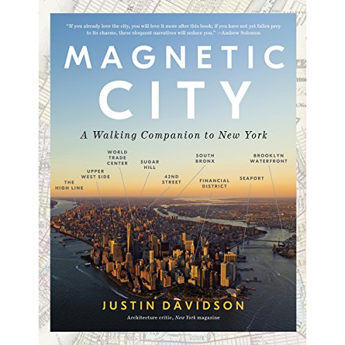 Cover of Magnetic City