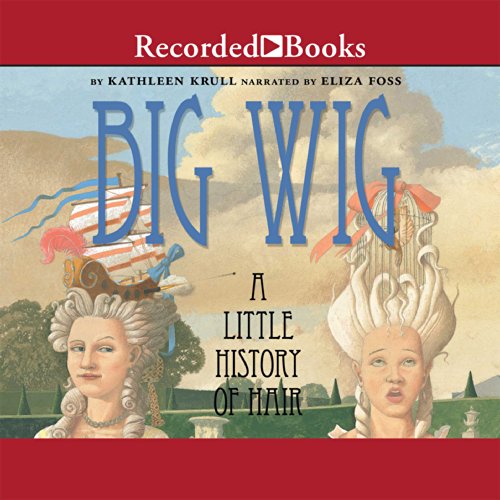 Cover of Big Wig