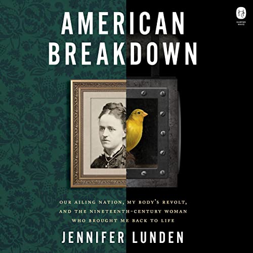 Cover of American Breakdown
