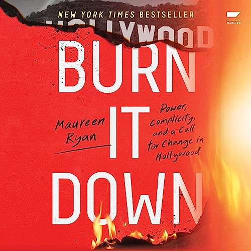 Cover of Burn It Down
