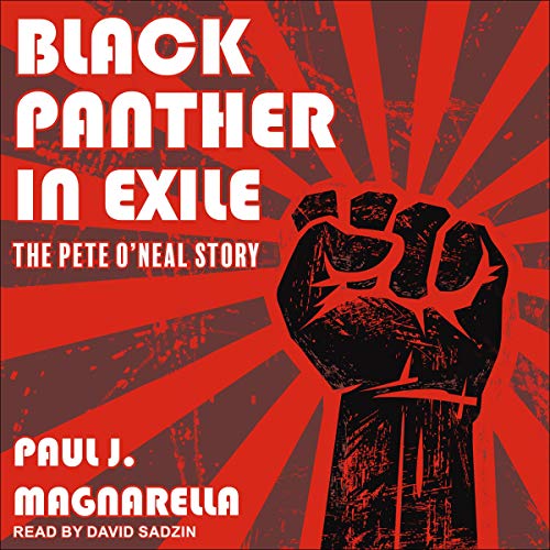 Cover of Black Panther in Exile