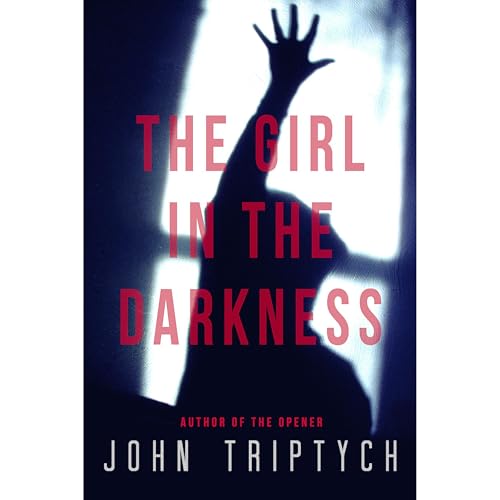 Cover of The Girl in the Darkness