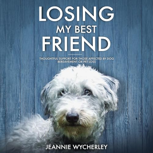 Cover of Losing My Best Friend