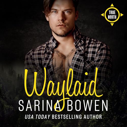 Cover of Waylaid